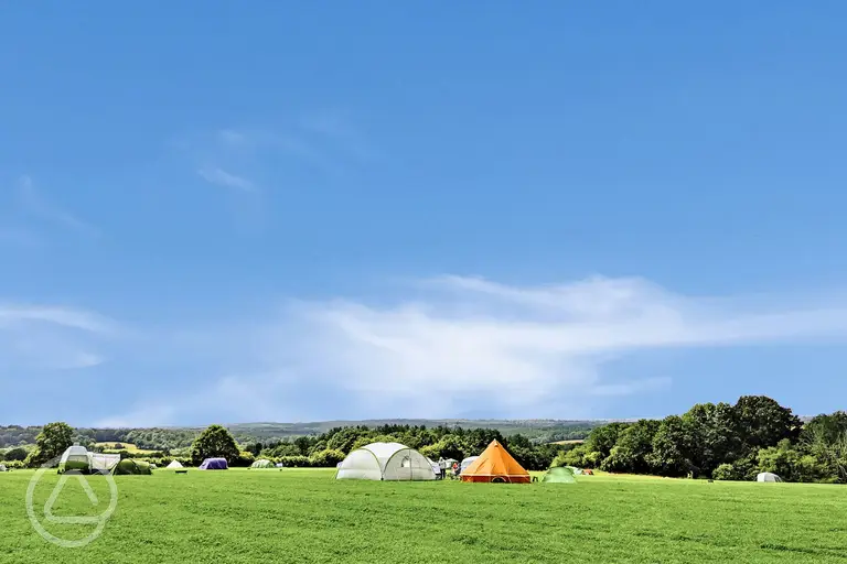 Large non electric grass pitches at Glassenbury Camping