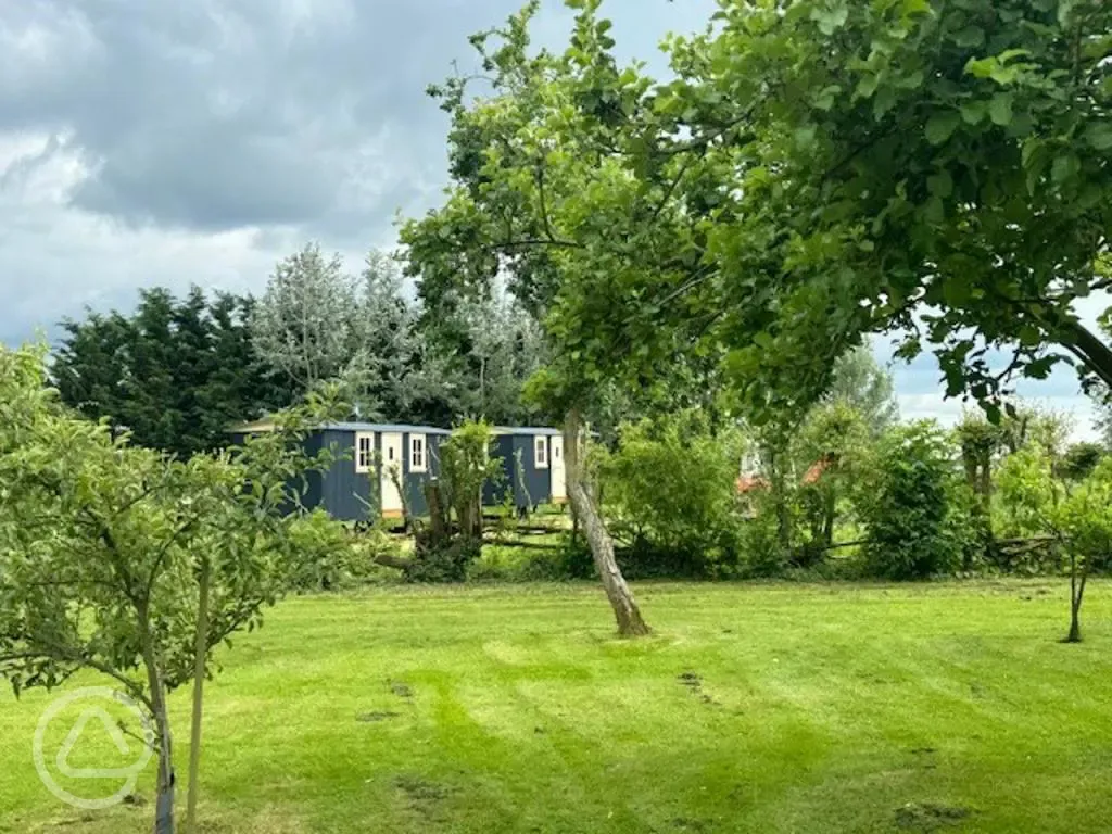 Shepherd's huts surrounded by trees 