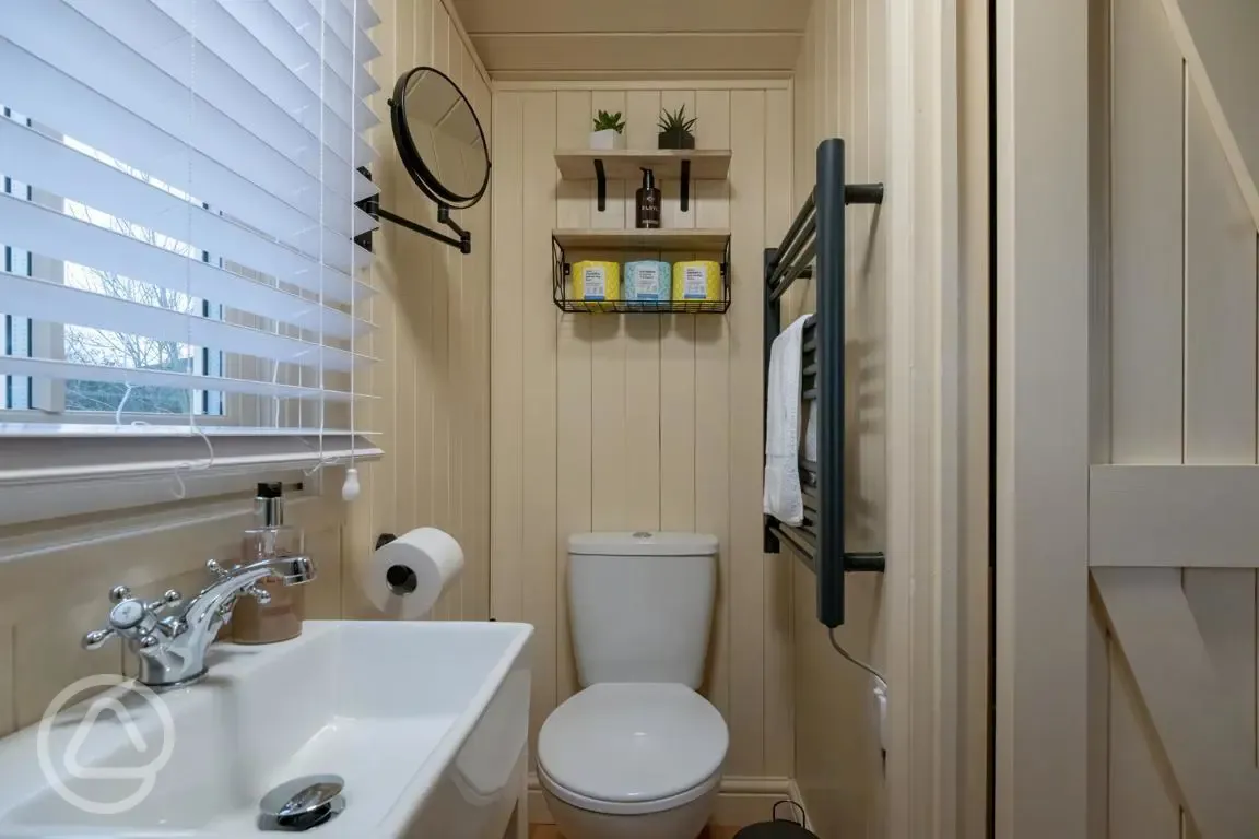 Shepherd's hut ensuite with a toilet, towel rail, sink, and mirror