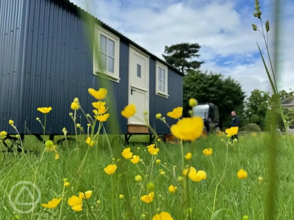 Shepherd's hut 