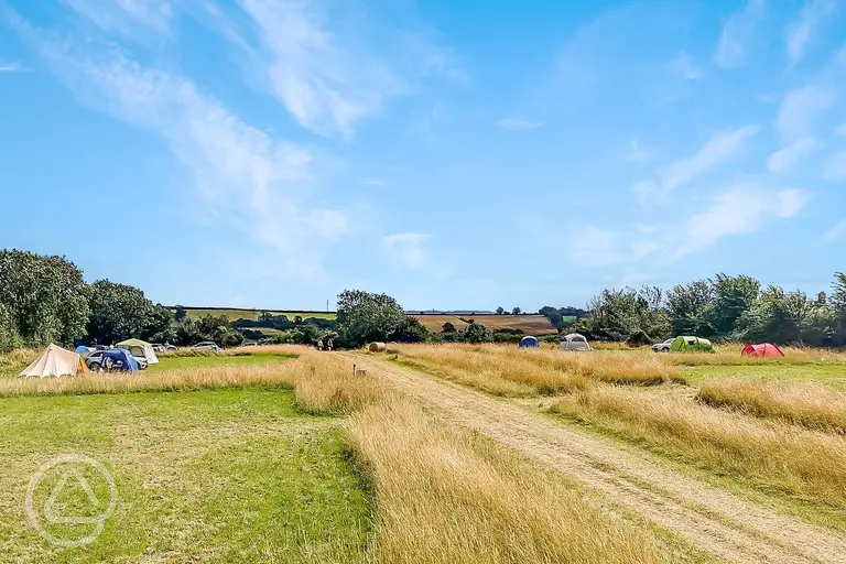 Non electric grass tent pitches
