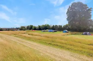 Loves Hill Camping, Timsbury, Bath, Somerset (11.8 miles)