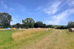 Non electric grass pitches Non electric grass pitches