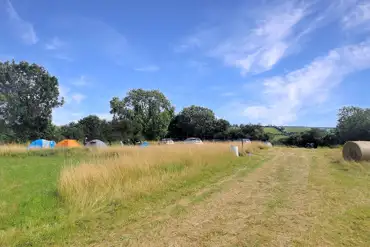 Non electric grass tent pitches