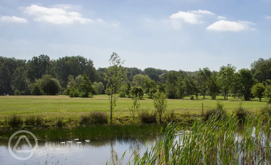 Grass pitches