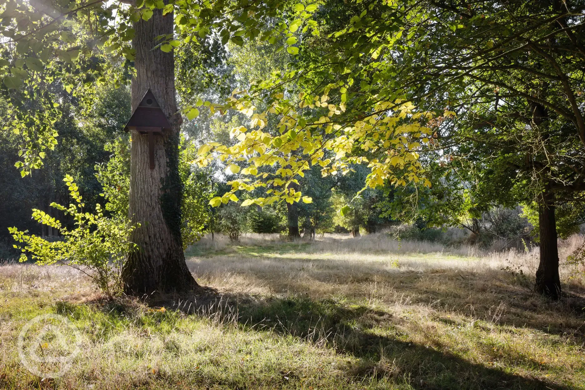 Surrounding countryside