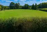 Non electric grass pitches