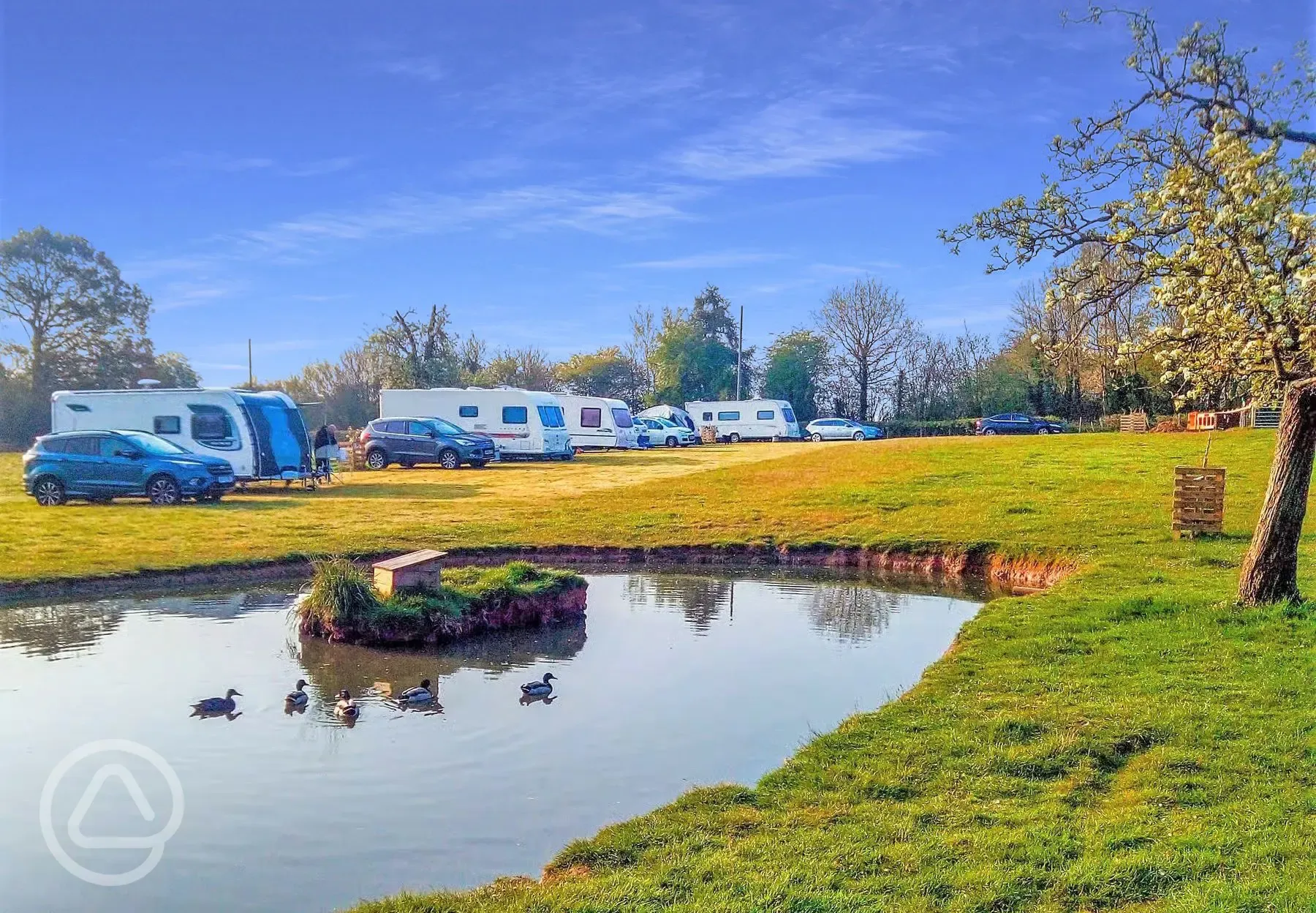 Touring pitches - main site