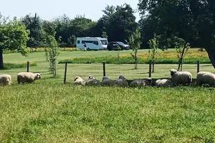 Aylton Motorhome and Caravan Site, Aylton, Ledbury, Herefordshire