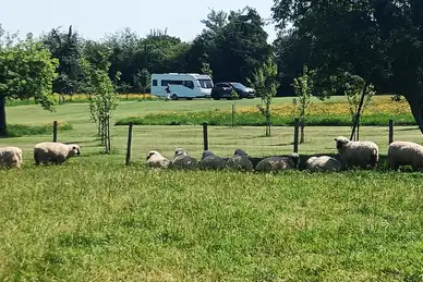 Aylton Motorhome and Caravan Site