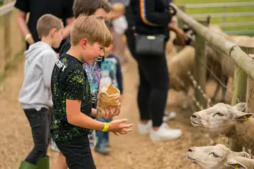 Feeding the sheep at the Adventure Farm