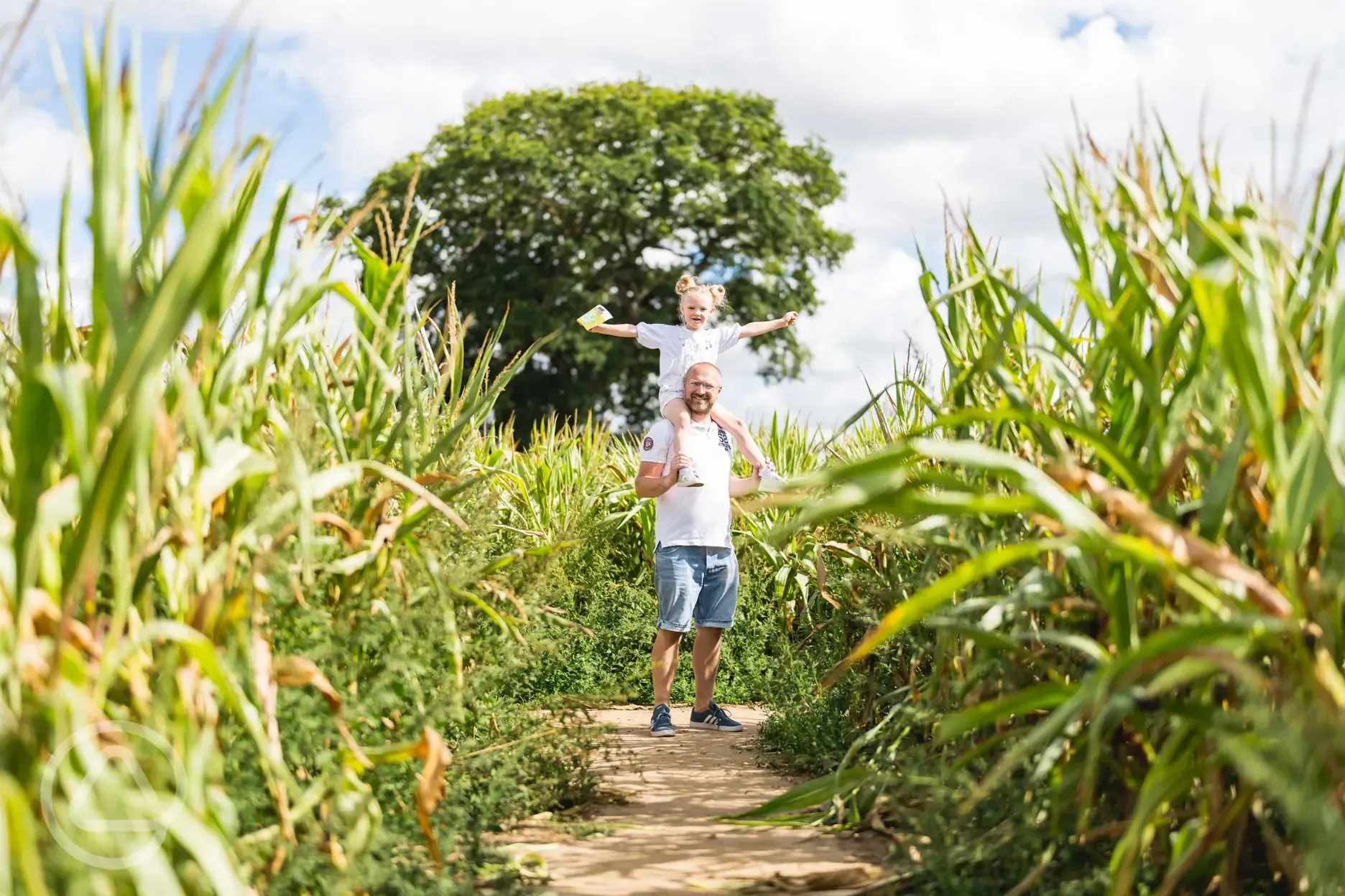 Maize Maze