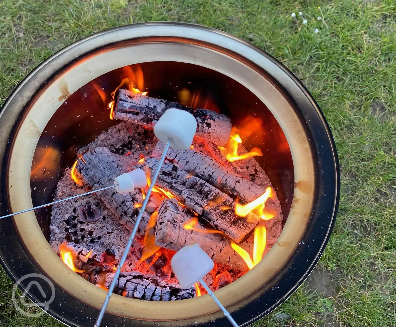 Toasting marshmallows