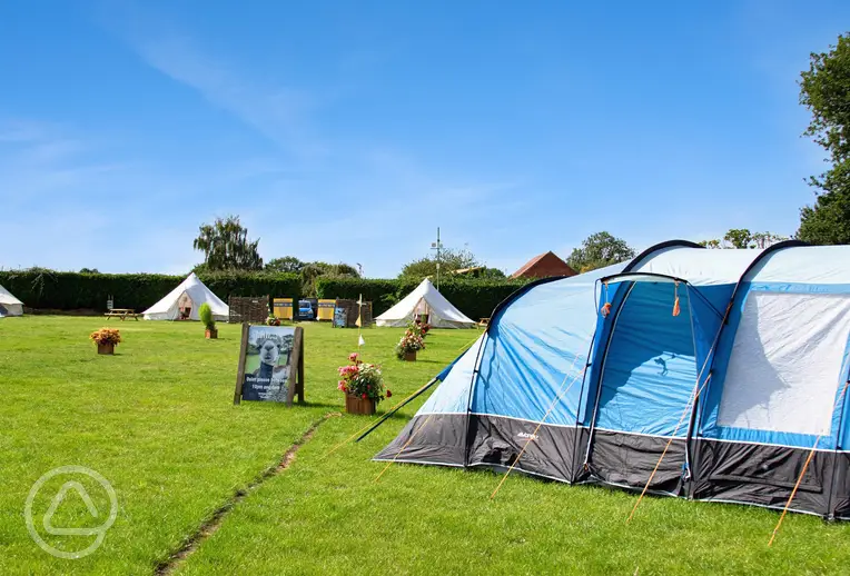 Large tent on a grass pitch with bell tents in the distance