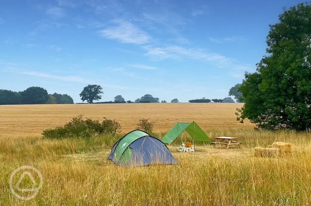 Ensuite grass pitches