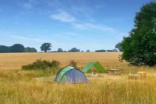 Finchingfield Camping, Finchingfield, Essex (8 miles)