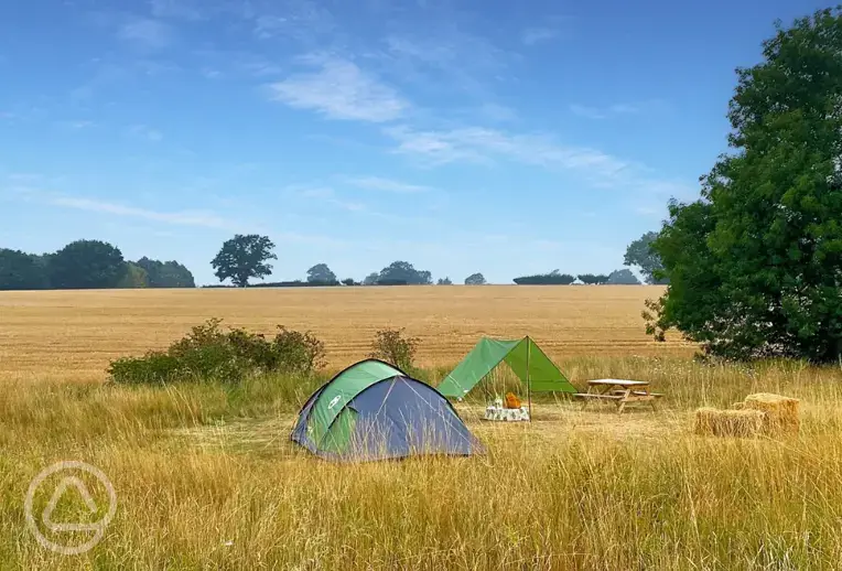Grass tent pitch