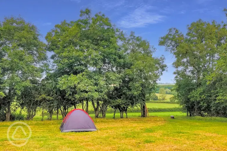 Tent camping 