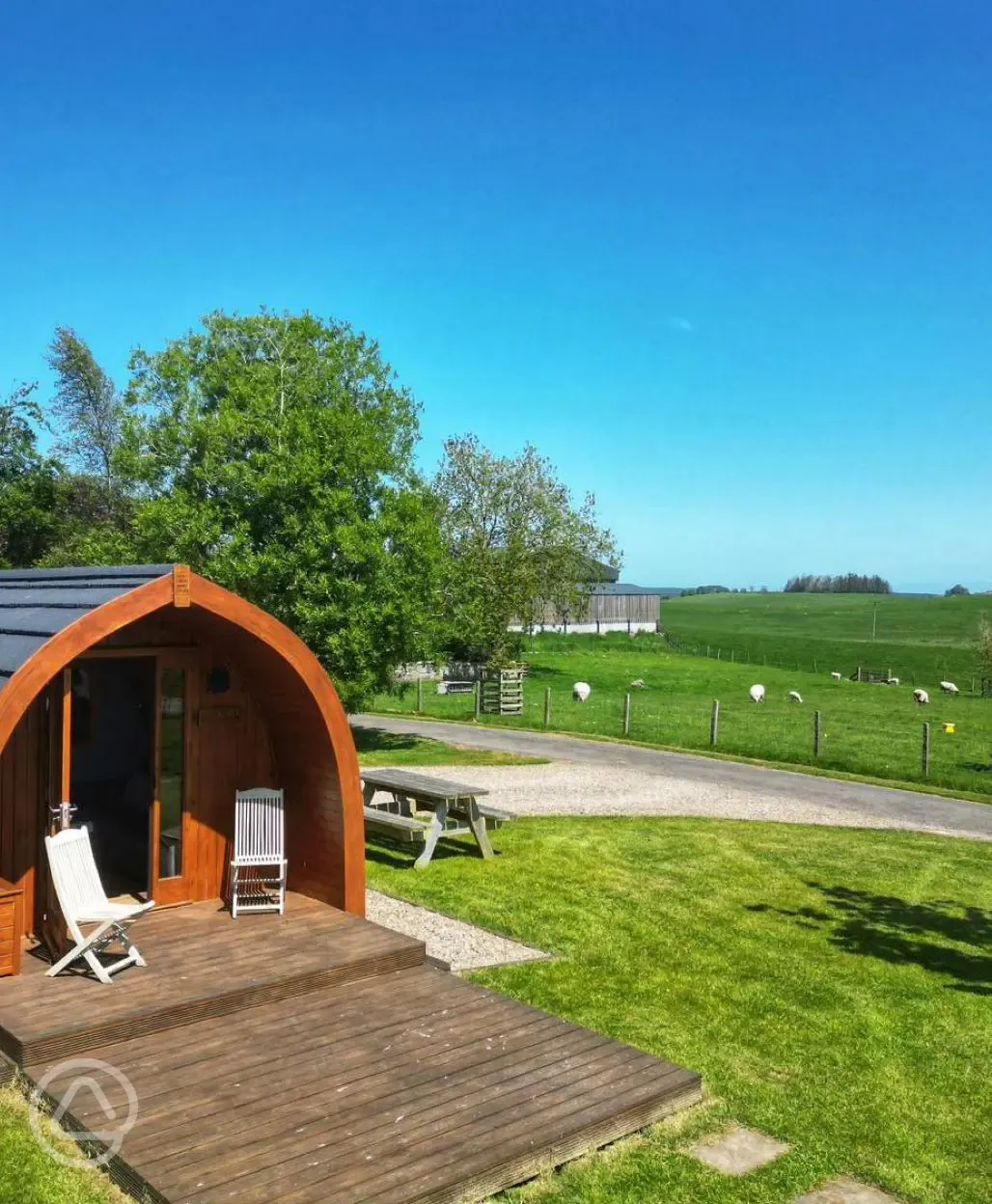 Willow glamping pod