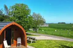 Willow glamping pod Willow glamping pod