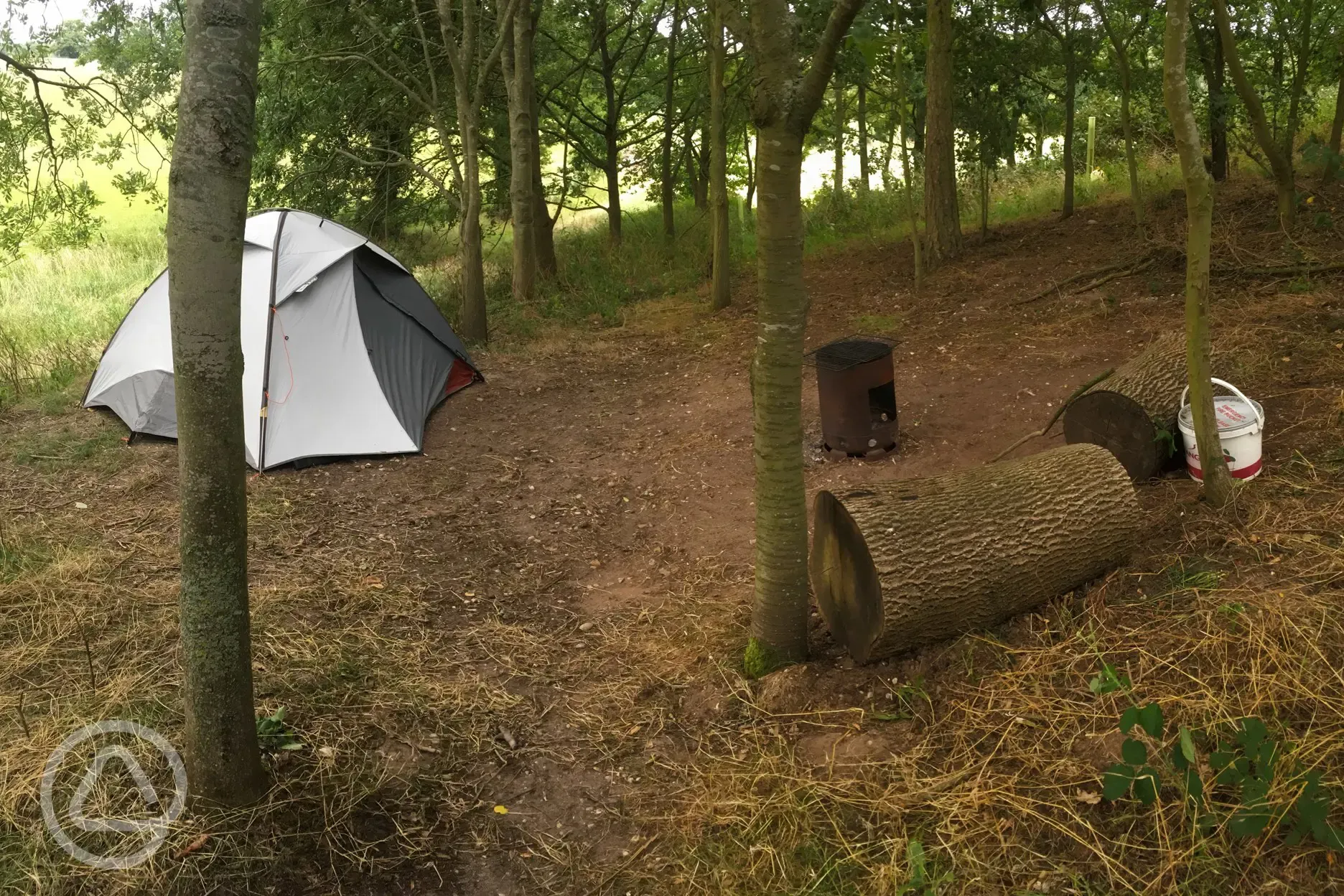 Secondary site woodland pitch
