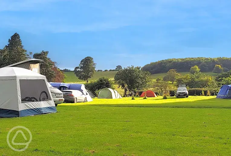 Non electric grass tent pitches 