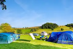 Non electric grass tent pitches at Oxcombe Campsite Non electric grass tent pitches at Oxcombe Campsite