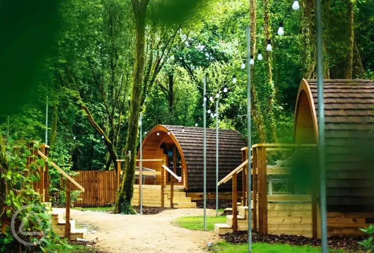 Woodland camping pods at Adventure Parc Snowdonia with fairy lights