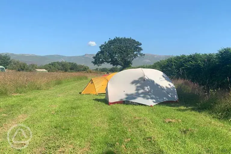 Non electric grass tent pitches