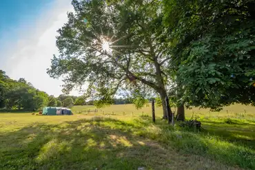 Non electric grass pitches at Sunset Tree Camping