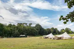 Bell tents at Sunset Tree
