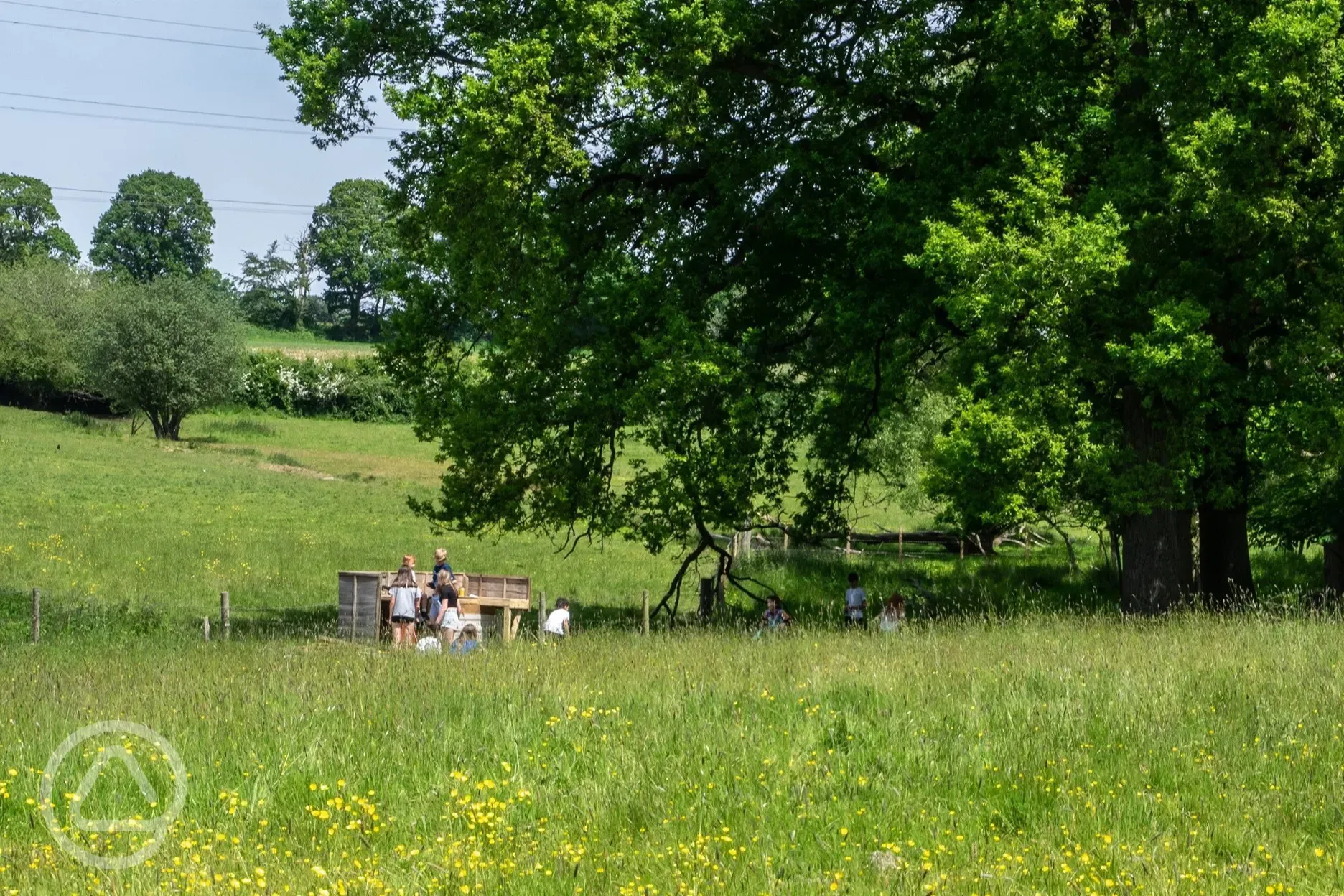 View across the meadow