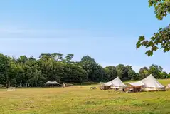 Bell tents at Sunset Tree