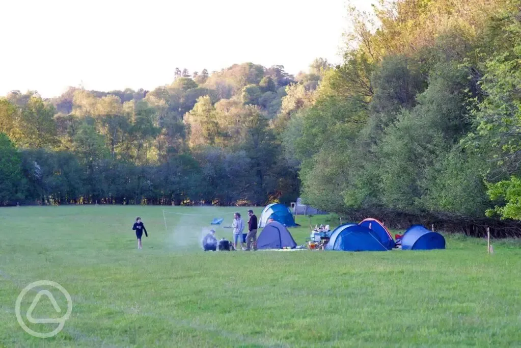 Non electric grass pitches