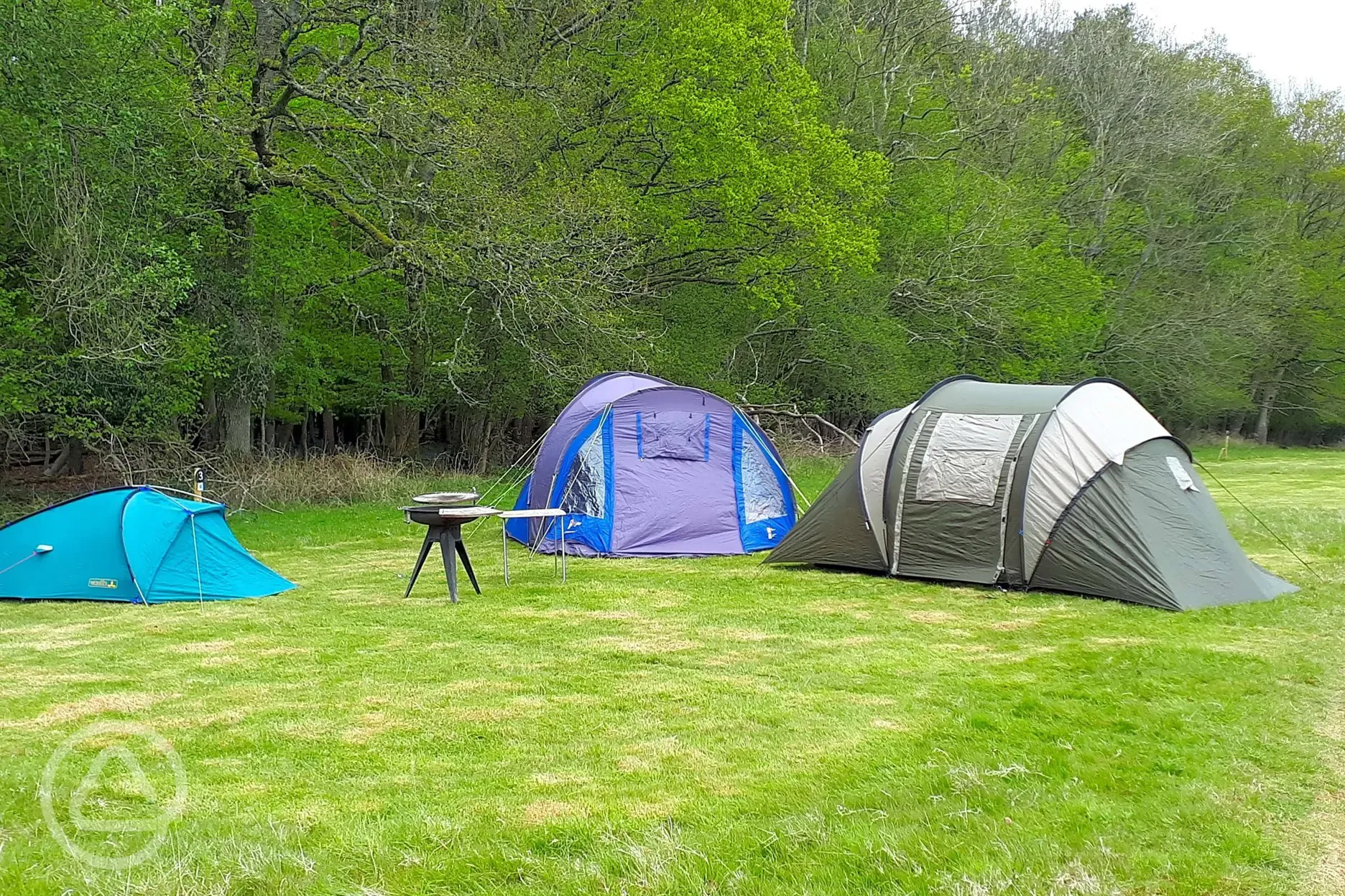 Non electric grass pitches