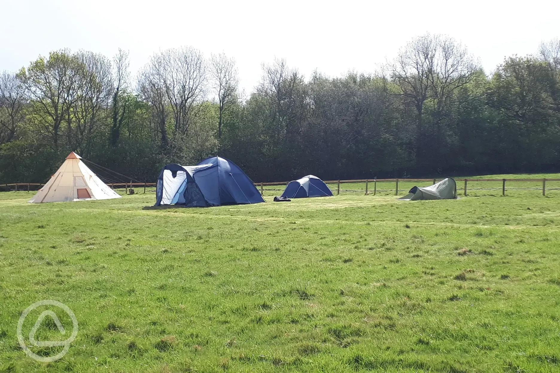 Non electric grass pitches