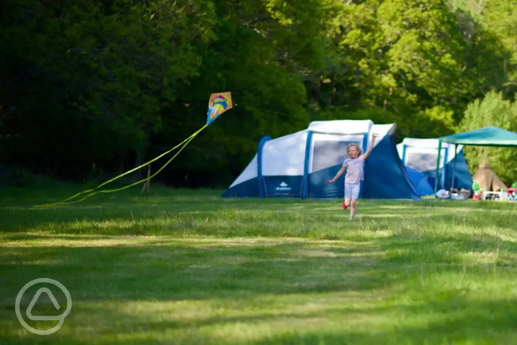 Non electric grass pitches