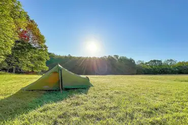 Non electric grass pitches at Yamp Camp Deer Park