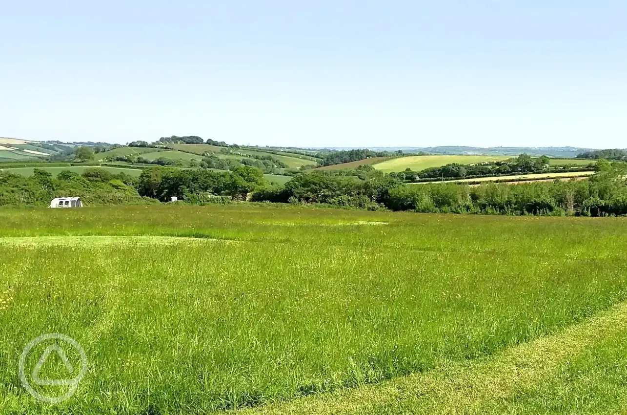 Non electric grass tent pitches