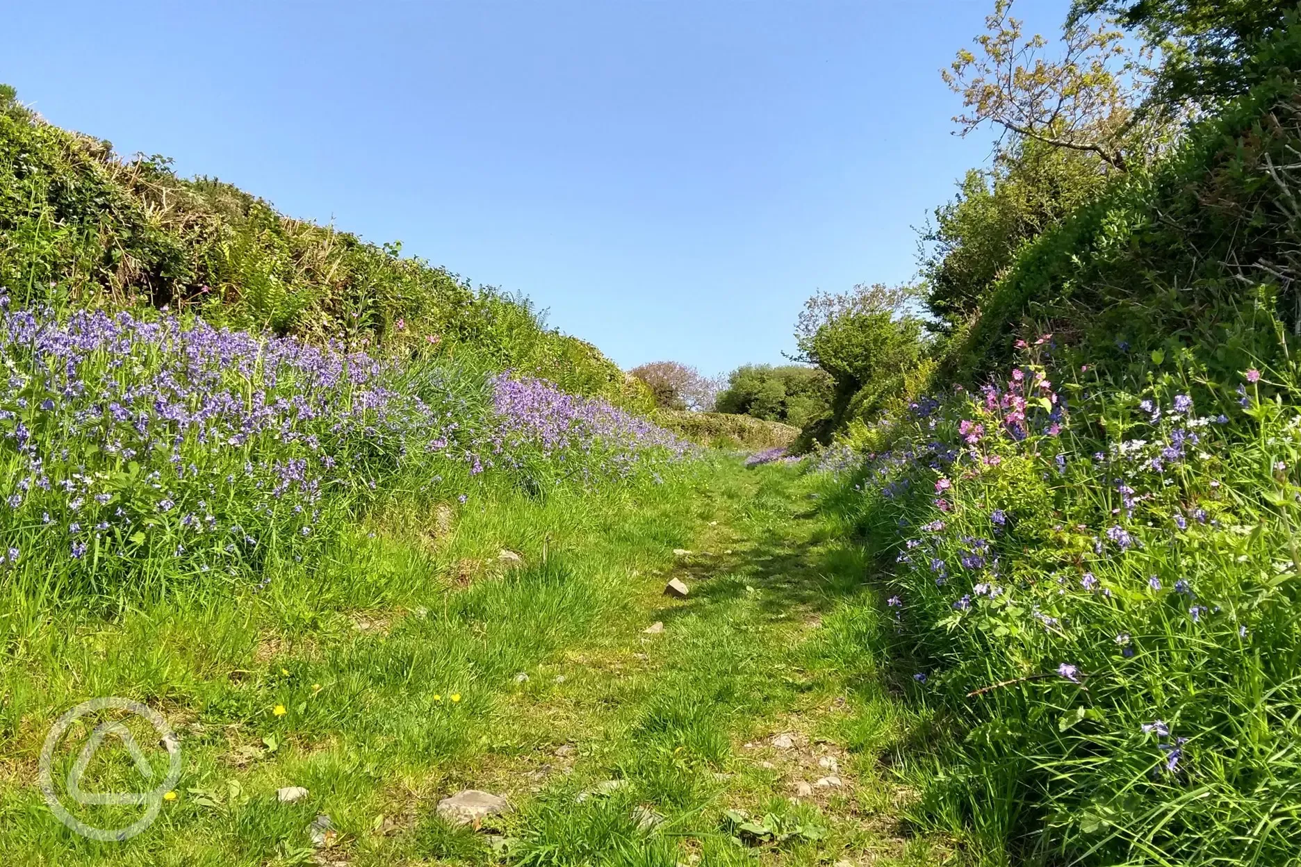 Nearby Dartmoor walks