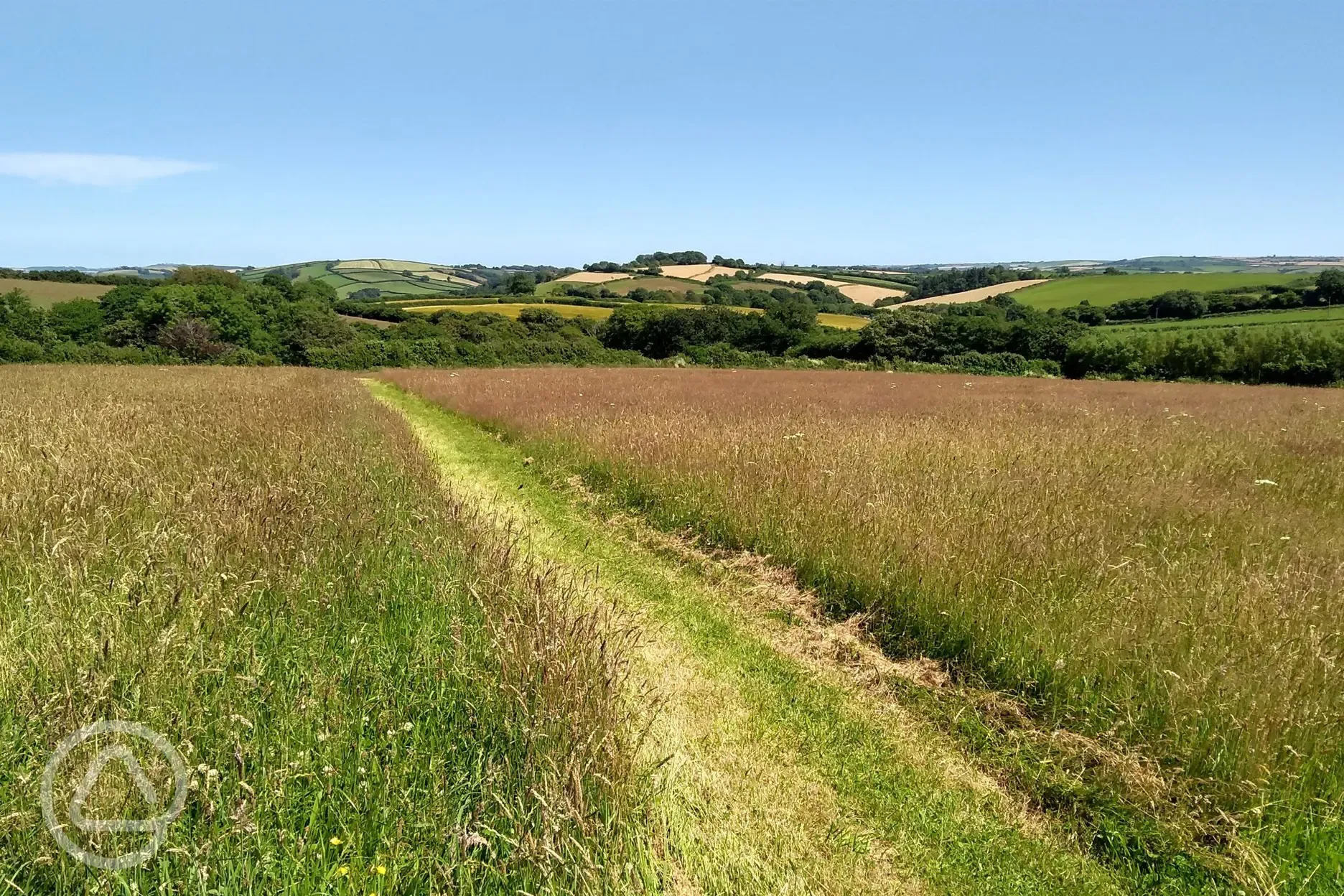 Meadow field centre path