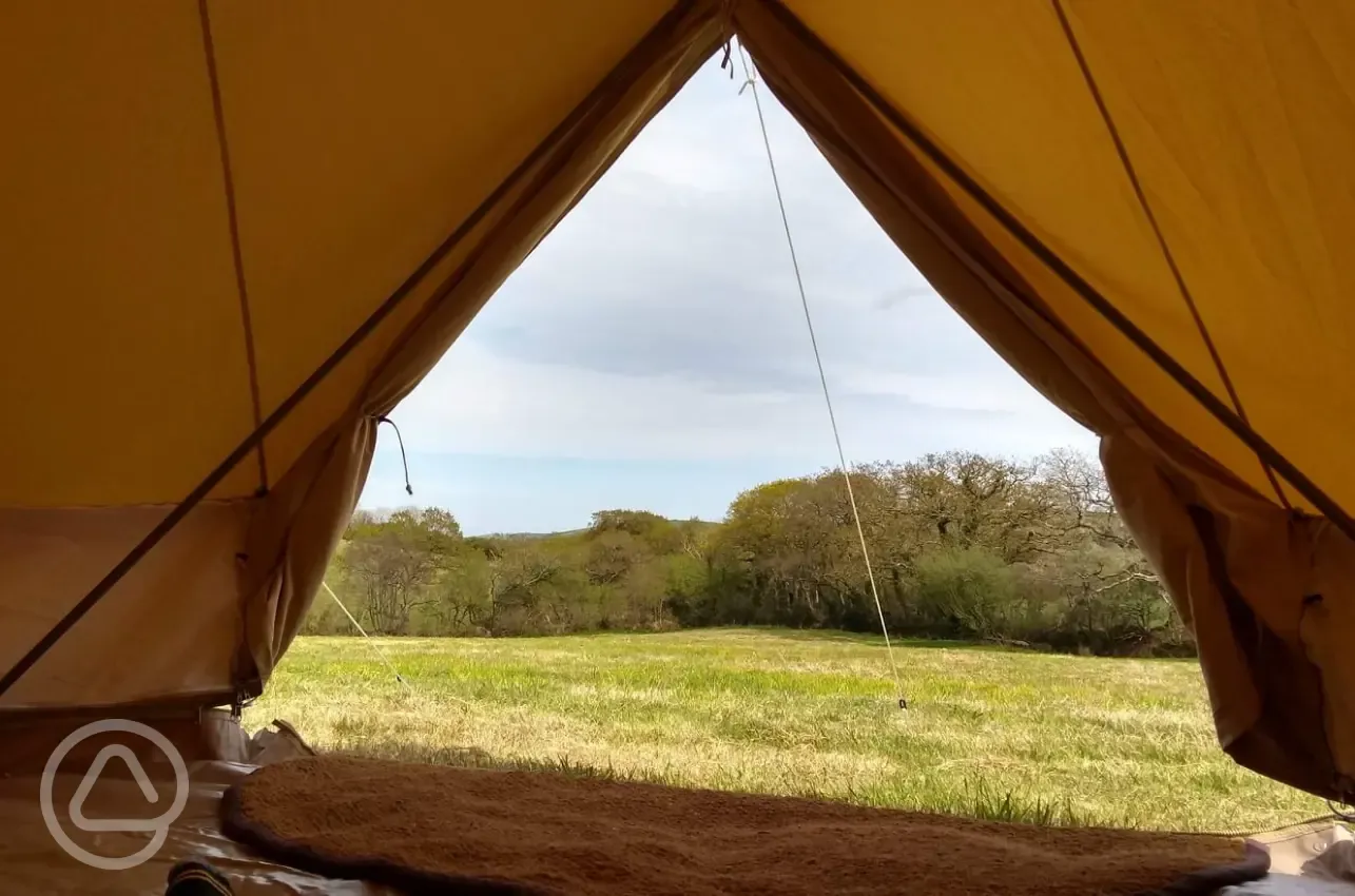 Bell tent views