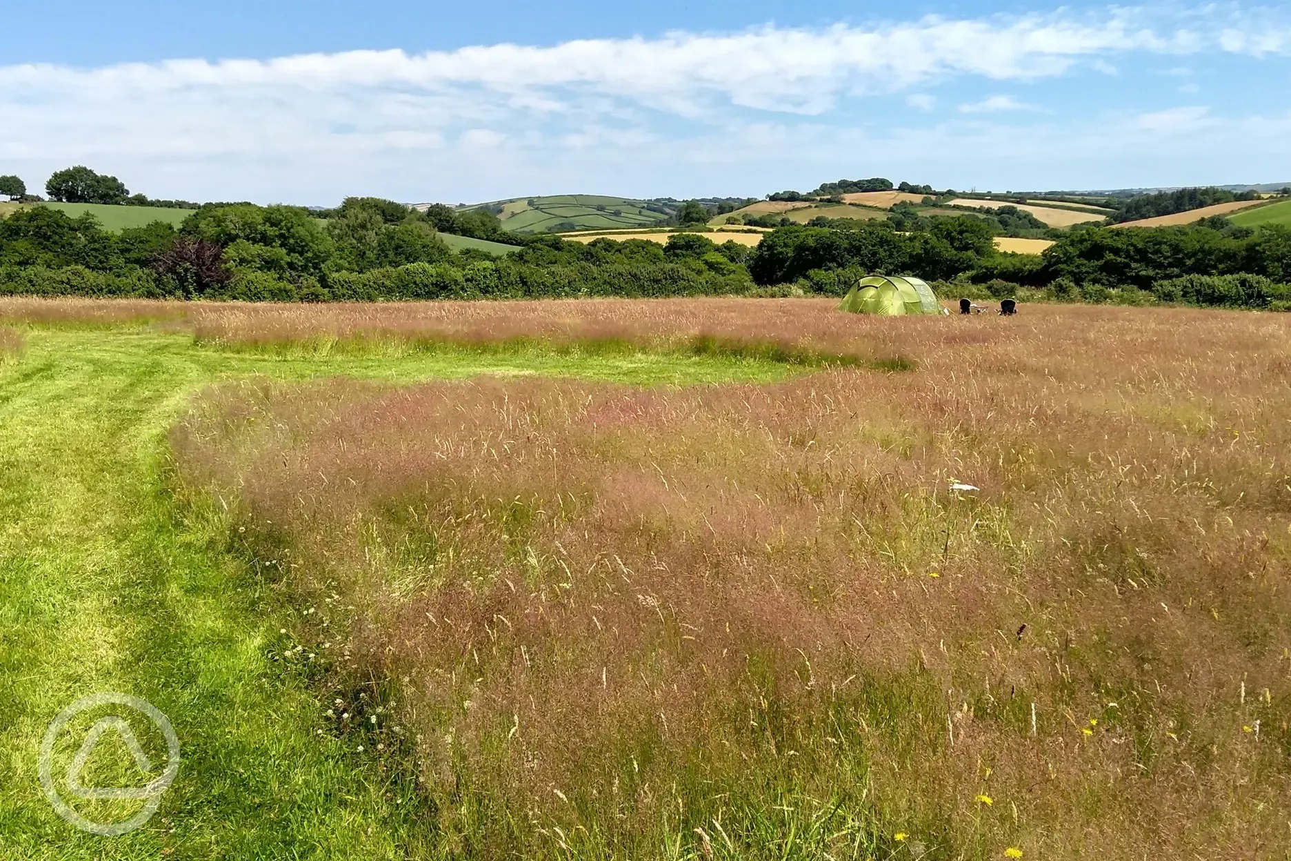 Non electric grass tent pitches