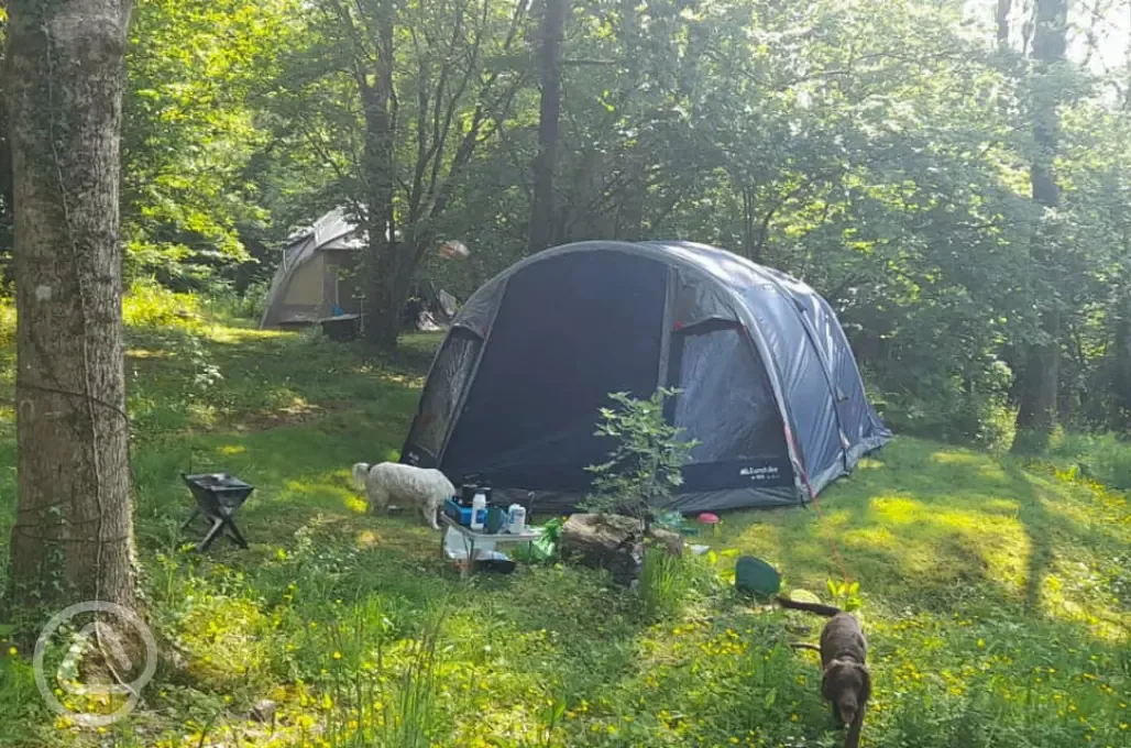 Non electric grass tent pitches