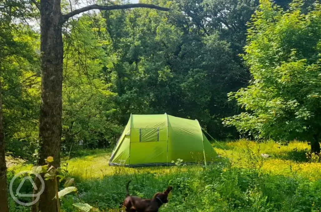 Non electric grass tent pitches