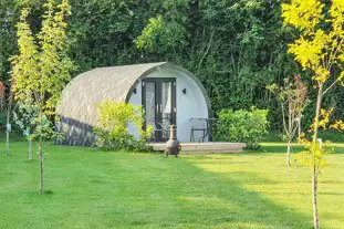 Old College Glamping, North Burlingham, Norwich, Norfolk (7.6 miles)