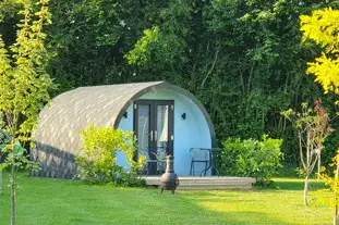 Old College Glamping, North Burlingham, Norwich, Norfolk (8.9 miles)