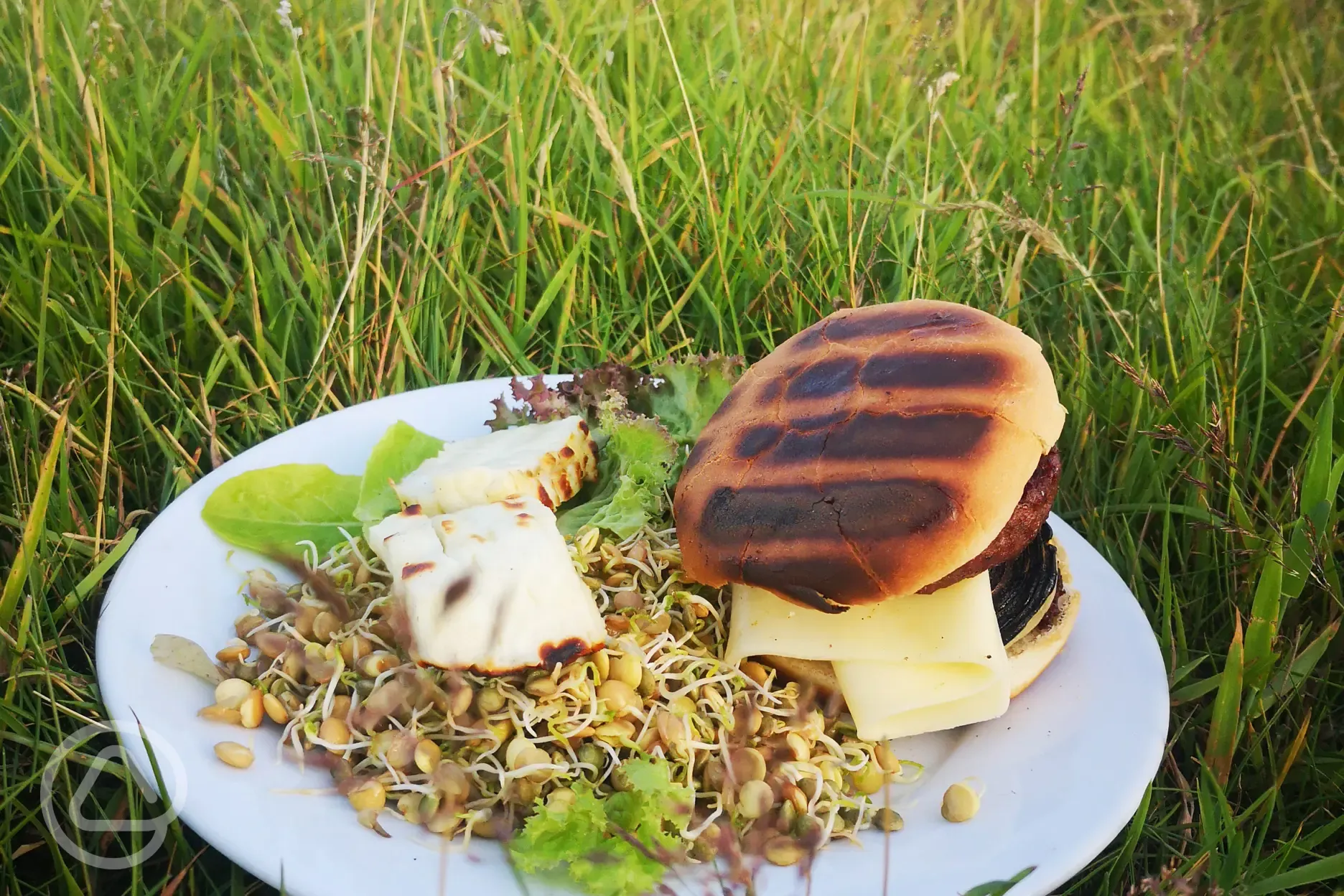 Bbq night! Cheeseburgers, grilled halloumi, sprouted lentils