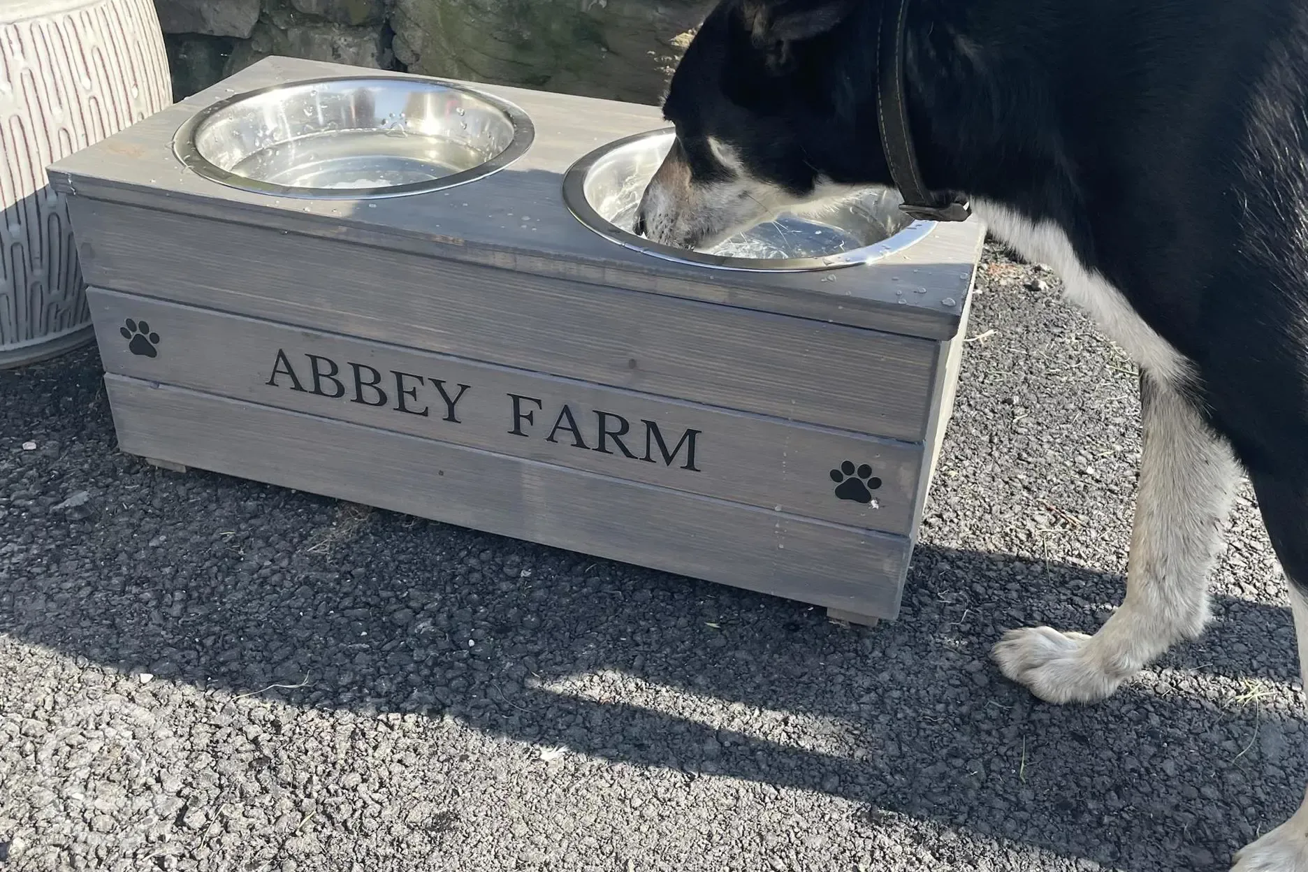 Dog water bowls at Abbey Farm Caravan and Glamping