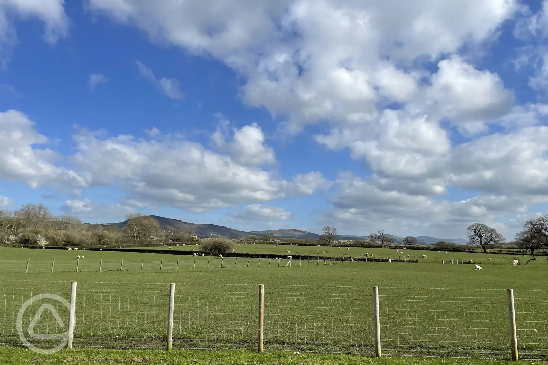 Countryside views from Abbey Farm Caravan and Glamping
